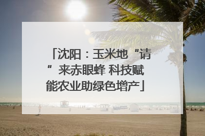 沈阳：玉米地“请”来赤眼蜂 科技赋能农业助绿色增产