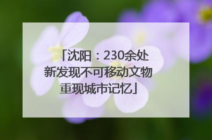 沈阳：230余处新发现不可移动文物重现城市记忆