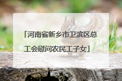 河南省新乡市卫滨区总工会慰问农民工子女