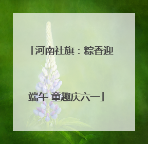 河南社旗：粽香迎端午 童趣庆六一