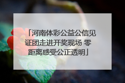 河南体彩公益公信见证团走进开奖现场 零距离感受公正透明