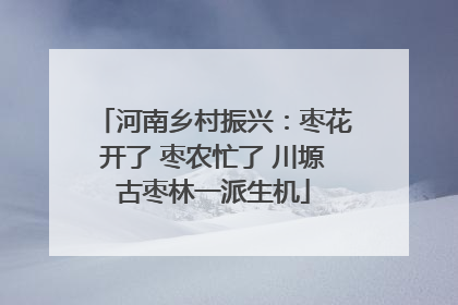 河南乡村振兴：枣花开了 枣农忙了 川塬古枣林一派生机