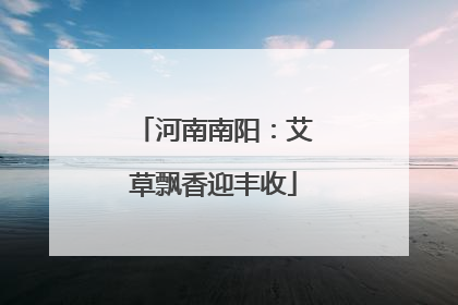 河南南阳：艾草飘香迎丰收