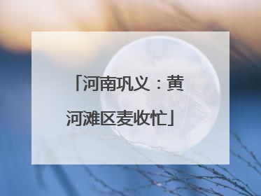 河南巩义：黄河滩区麦收忙
