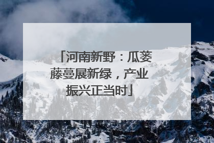 河南新野：瓜蒌藤蔓展新绿，产业振兴正当时