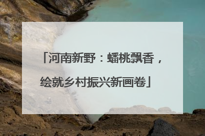 河南新野：蟠桃飘香，绘就乡村振兴新画卷