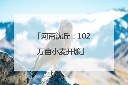 河南沈丘：102 万亩小麦开镰