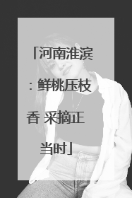 河南淮滨：鲜桃压枝香 采摘正当时