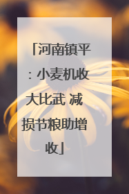 河南镇平：小麦机收大比武 减损节粮助增收