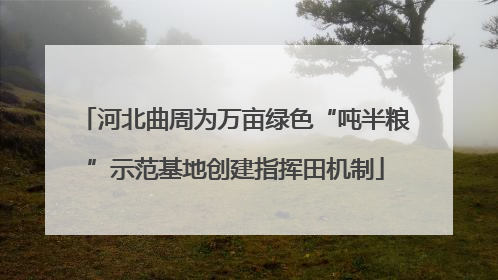 河北曲周为万亩绿色“吨半粮”示范基地创建指挥田机制
