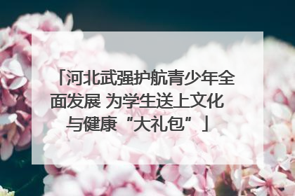 河北武强护航青少年全面发展 为学生送上文化与健康“大礼包”