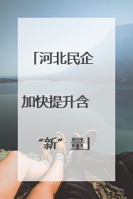 河北民企加快提升含“新”量