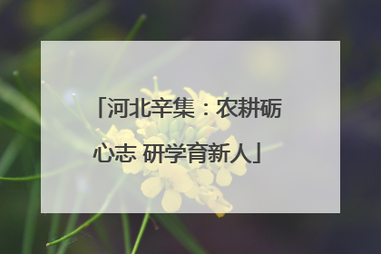 河北辛集：农耕砺心志 研学育新人