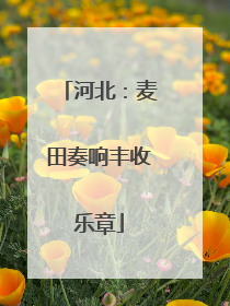 河北：麦田奏响丰收乐章
