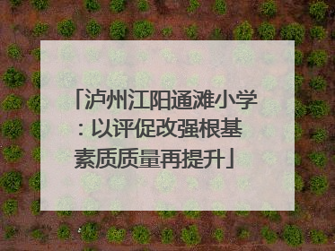 泸州江阳通滩小学：以评促改强根基 素质质量再提升