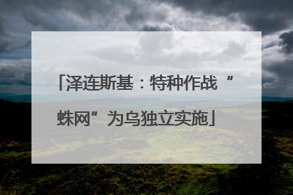 泽连斯基：特种作战“蛛网”为乌独立实施