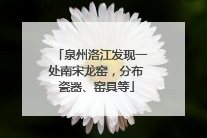 泉州洛江发现一处南宋龙窑，分布瓷器、窑具等