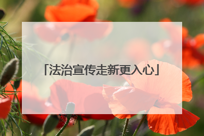 法治宣传走新更入心