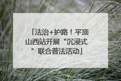 法治+护路！平顶山西站开展“沉浸式”联合普法活动