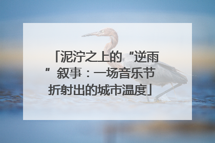 泥泞之上的“逆雨”叙事：一场音乐节折射出的城市温度