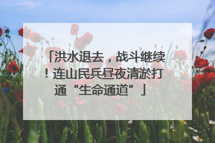 洪水退去，战斗继续！连山民兵昼夜清淤打通“生命通道”