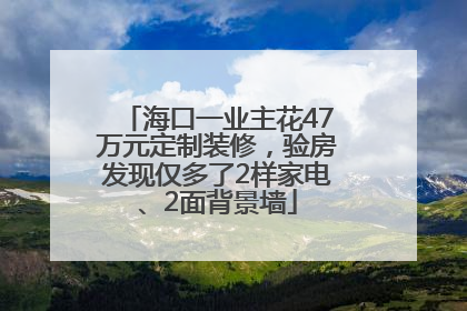 海口一业主花47万元定制装修，验房发现仅多了2样家电、2面背景墙
