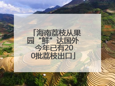 海南荔枝从果园“鲜”达国外 今年已有200批荔枝出口