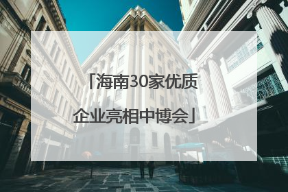 海南30家优质企业亮相中博会