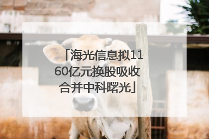 海光信息拟1160亿元换股吸收合并中科曙光