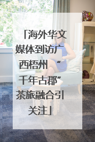海外华文媒体到访广西梧州 “千年古郡”茶旅融合引关注