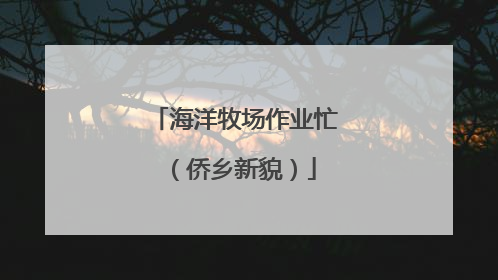 海洋牧场作业忙（侨乡新貌）