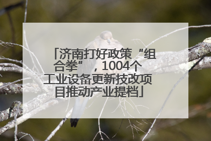 济南打好政策“组合拳”，1004个工业设备更新技改项目推动产业提档