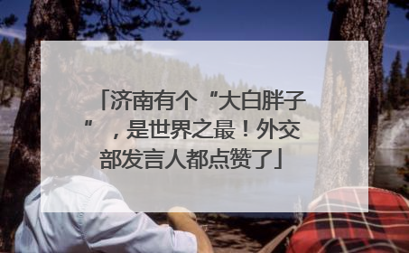 济南有个“大白胖子”，是世界之最！外交部发言人都点赞了
