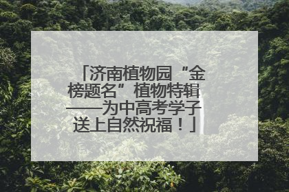 济南植物园“金榜题名”植物特辑——为中高考学子送上自然祝福！