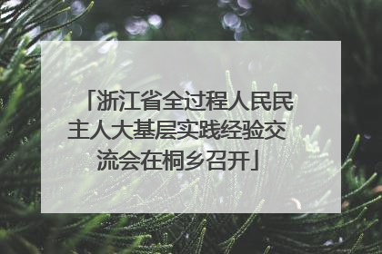 浙江省全过程人民民主人大基层实践经验交流会在桐乡召开