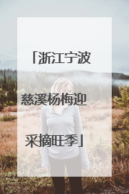 浙江宁波慈溪杨梅迎采摘旺季