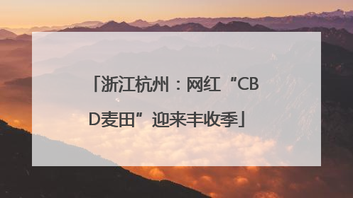 浙江杭州：网红“CBD麦田”迎来丰收季