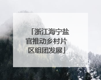 浙江海宁盐官推动乡村片区组团发展