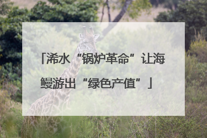浠水“锅炉革命”让海鳗游出“绿色产值”