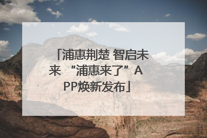 浦惠荆楚 智启未来 “浦惠来了”APP焕新发布