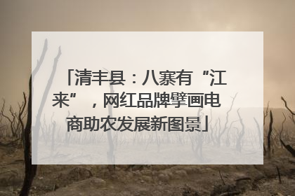 清丰县：八寨有“江来”，网红品牌擘画电商助农发展新图景