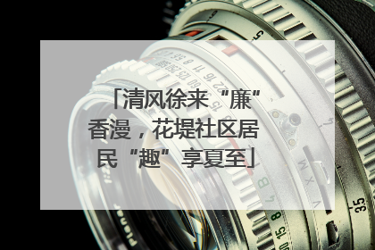 清风徐来“廉”香漫，花堤社区居民“趣”享夏至