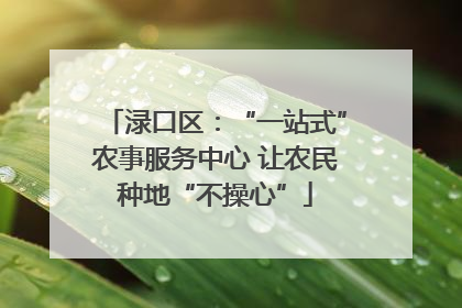 渌口区：“一站式”农事服务中心 让农民种地“不操心”