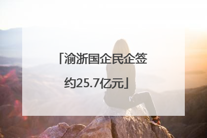 渝浙国企民企签约25.7亿元