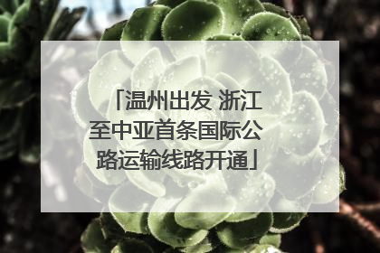 温州出发 浙江至中亚首条国际公路运输线路开通
