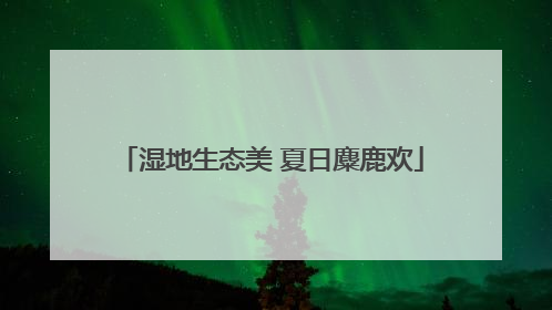 湿地生态美 夏日麋鹿欢