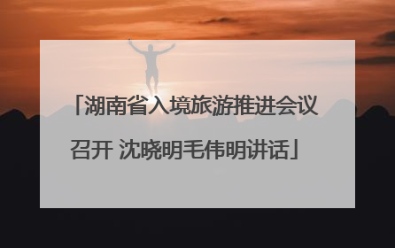 湖南省入境旅游推进会议召开 沈晓明毛伟明讲话