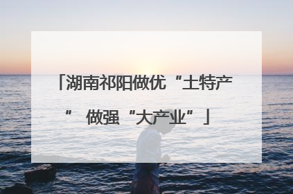 湖南祁阳做优“土特产” 做强“大产业”