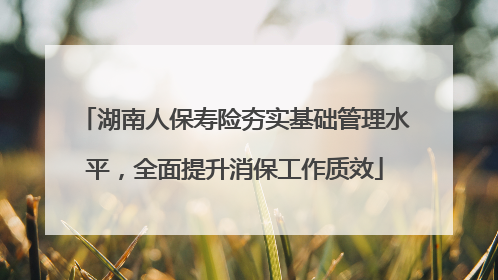 湖南人保寿险夯实基础管理水平，全面提升消保工作质效