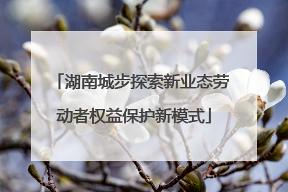 湖南城步探索新业态劳动者权益保护新模式